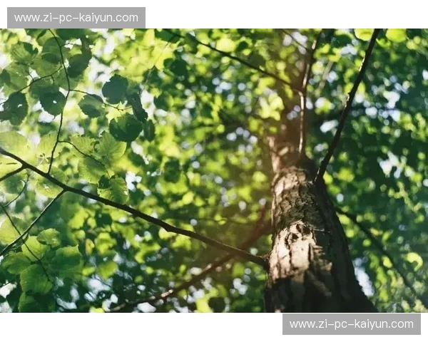 北欧双生花的爱恨情仇：瑞典vs丹麦，谁才是斯堪的纳维亚的灵魂？